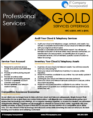 Professional Services Gold