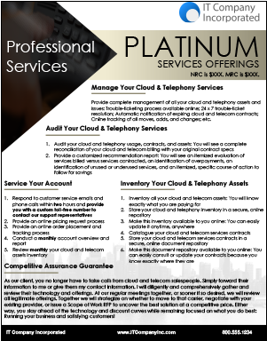 Platinum Services