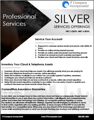 Silver Services